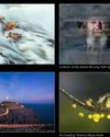 WORLD'S BIGGEST PHOTO CONTEST TOPS HALF A MILLION ENTRIES