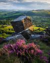 HOW TO FOCUS-STACK A LANDSCAPE