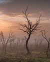 POST-APOCALYPTIC PANO IS TOP LANDSCAPE IMAGE OF 2023