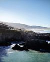 PARADISE FOUND10