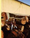 Angel City Lumber Angel City Lumber4