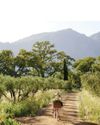 Condé Nast Traveler US