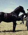 horse country Condé Nast Traveler US