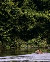 BEASTS OF SOUTHERN THE WILD Condé Nast Traveler US