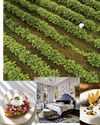Condé Nast Traveler US