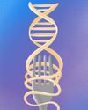 PRECISION NUTRITION: Your Genes and Your Diet0
