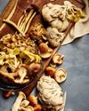Mushrooms for the Mind2