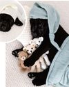 Puppy Preparing to Be a Service Dog Gets Newborn Photo Shoot8
