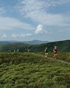RUNNER'S HIGH RUNNER'S HIGH