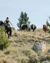 A Horse Girl Grows Up6