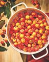 Branch Out Southern Living