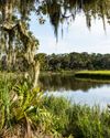 Southern Living