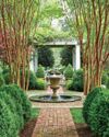 The Shapely Boxwood