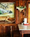 Call of the Catfish Cabin8