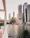 Brisbane in Bloom12