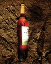 Wines for a Warmer Planet10