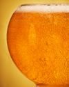 CIDER SEASON12