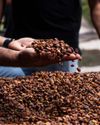 Coffee Country From farm tours to tasting experiences, Panama offers visitors immersive encounters with its world-class coffee.9