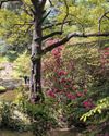 Bodnant