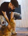 Furry Creatures Going Around Your Workplace