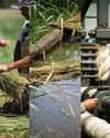 From Flax to Fashion: The Complete Story of Organic Linen Apparel Production13