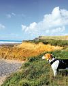 BUDE NOT OBSCURE BUDE NOT OBSCURE