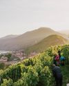 Austria Homes in on Terroir