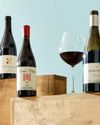 PINOT NOIR ASCENDANT9