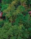 Eco-Stays in India Define Green, Immersive, Mindful, And Regenerative Travel12