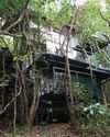 The Machan Lonavala: A Soulful Stay Story, Etched in Green14