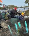 Cedar Key Waterway Cleanup