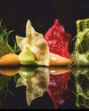 The Art of Modern Food Presentation: Techniques and Trends