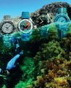 RELOJES ACUÁTICOS ¡SPLASH!31
