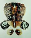 El peligroso auge del shilajit El peligroso auge del shilajit19