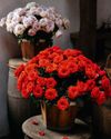Blooming marvellous7