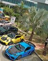 Porsches Let Loose10