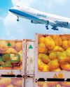 9% growth in mango exports at CSMIA in April and May15