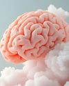 Menopause BRAIN Menopause BRAIN