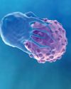 Cell warfare Cell warfare