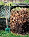 The constant gardener Your Home and Garden
