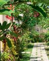 Your Home and Garden
