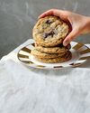 COOKIE CRAZE24