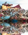 HOW ENVIRONMENTAL LOSS SHAPES OUR PSYCHE7