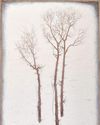 Earth and Sky American Art Collector
