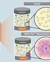 MRI Unlocks Lithium-Ion Battery Performance MRI Unlocks Lithium-Ion Battery Performance