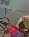 SMART SENSORS, SMARTER WEB: Capturing And Recording Data Online15