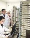 Organic cathode pushes battery limits Organic cathode pushes battery limits2