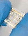 Stretchable patch detects heart failure risks8