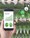Smart Agriculture And Agricultural Automation0