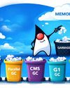 An In-Depth Look at Java Garbage Collectors45